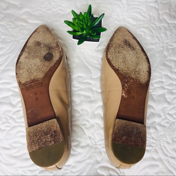 COACH tabitha pointy toe Flats - Picture 7 of 7